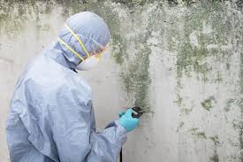 Reliable Brownsboro, TX Mold Inspection Solutions